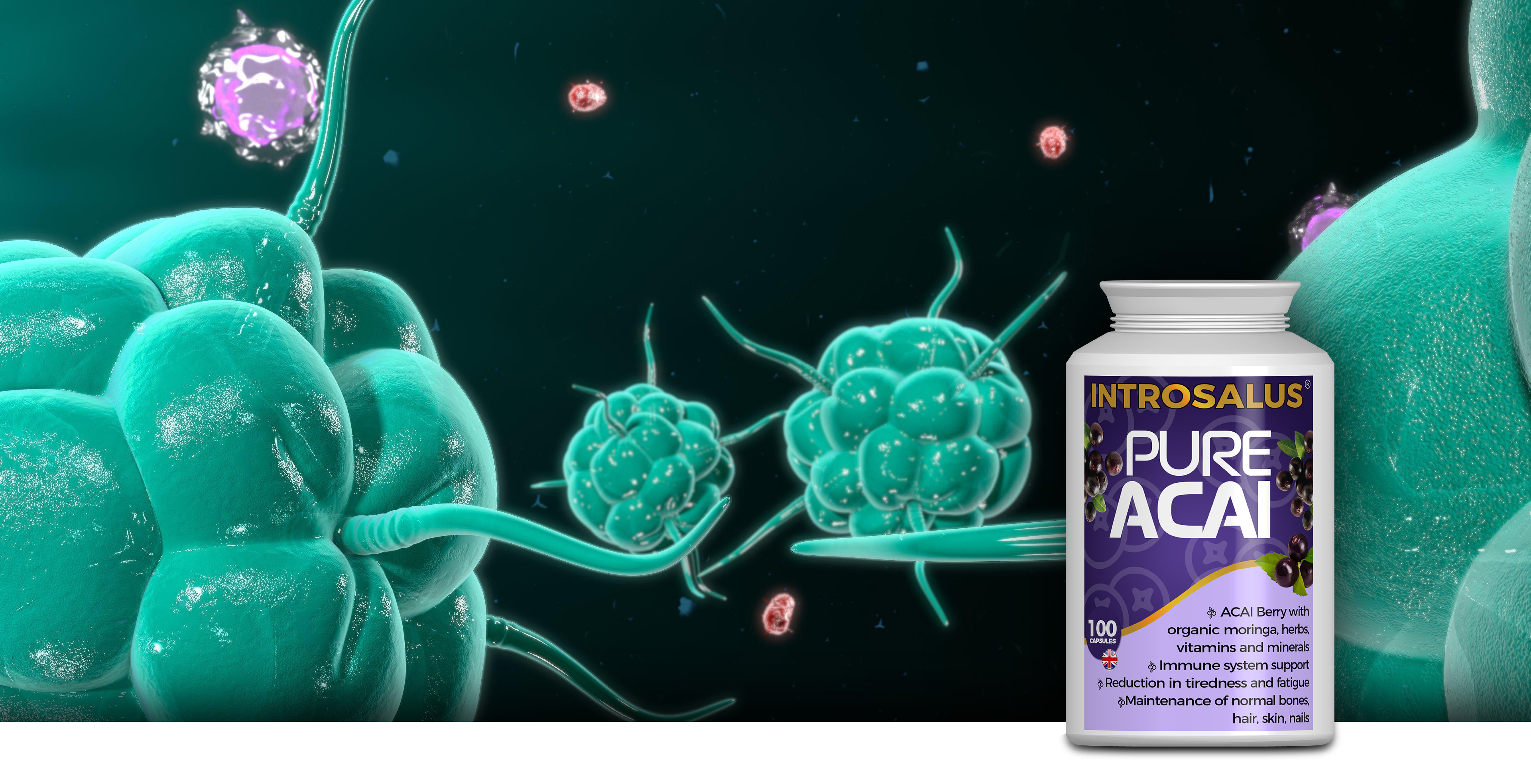 Producto Introsalus: Herbal Care